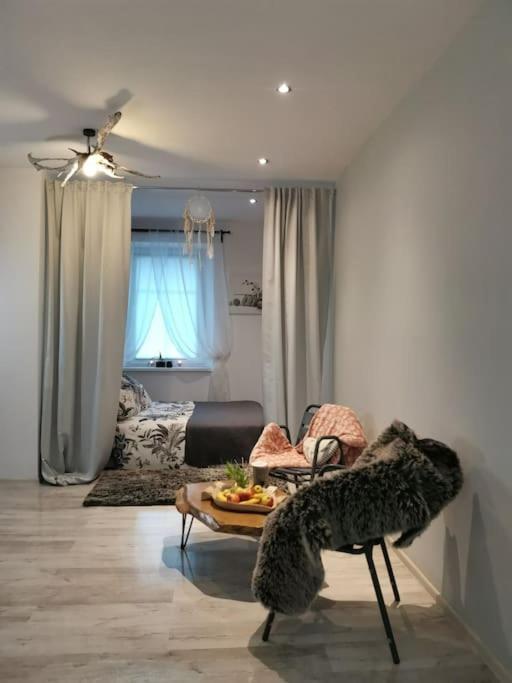 Urocze Studio W Sercu Cieplic Warmbrunn Exterior foto