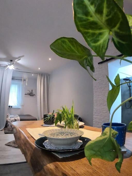 Urocze Studio W Sercu Cieplic Warmbrunn Exterior foto